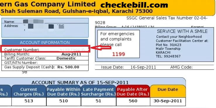 ssgc customer number
