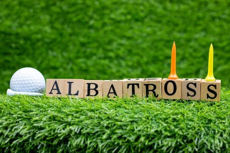 albatross golf