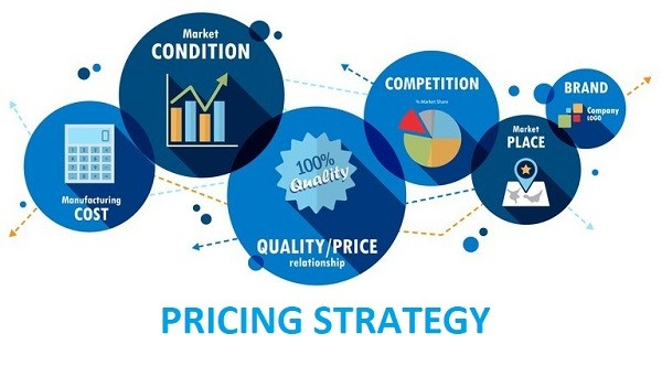 Online coaching Pricing Strategy