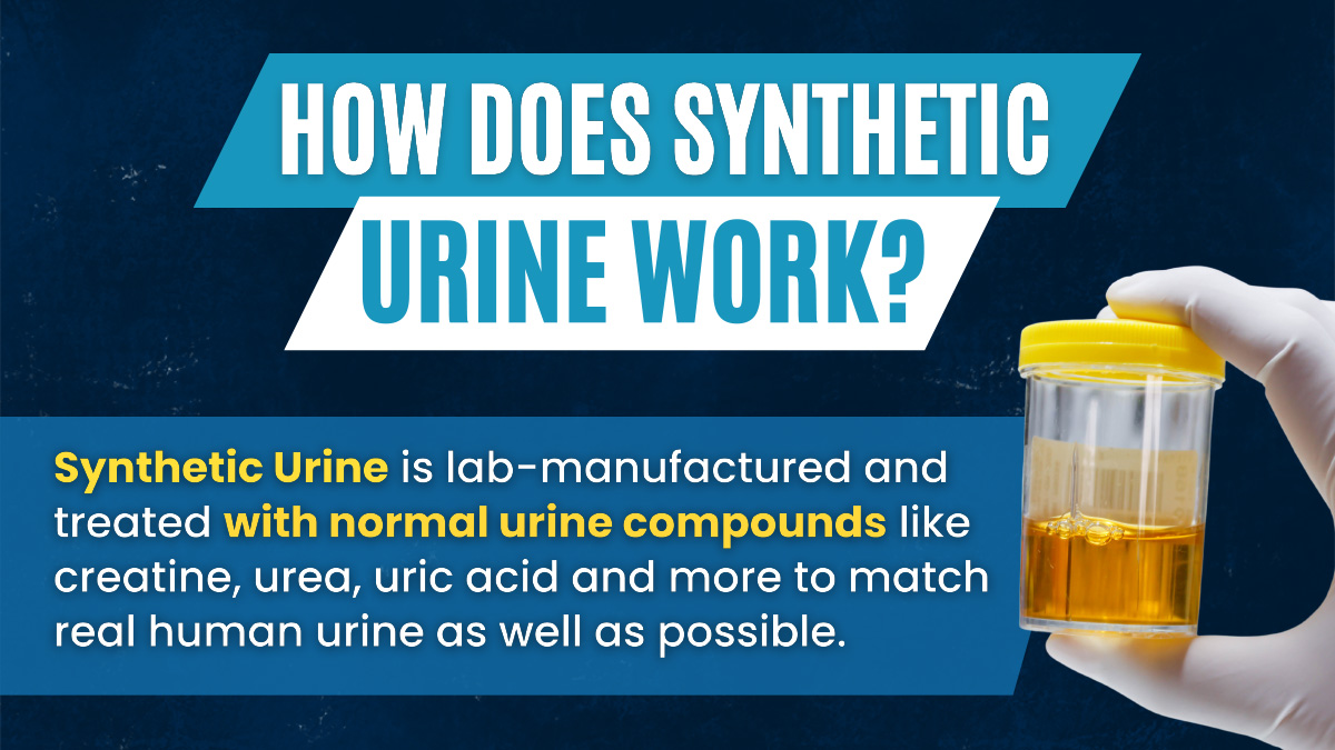 Best Synthetic Urine 10 Top Rated Synthetic Urine Brands and Human