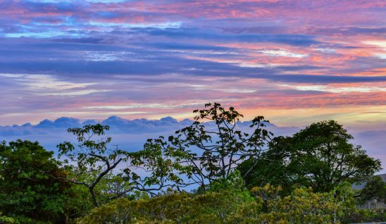Monteverde at sunset