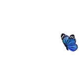 25.200+ Mariposa Azul Ilustraciones de Stock, gráficos vectoriales libres  de derechos y clip art - iStock | Mariposa azul común, Mariposa monarca,  Yoga