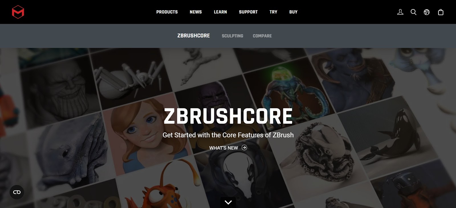 A screenshot of Zbrush's website