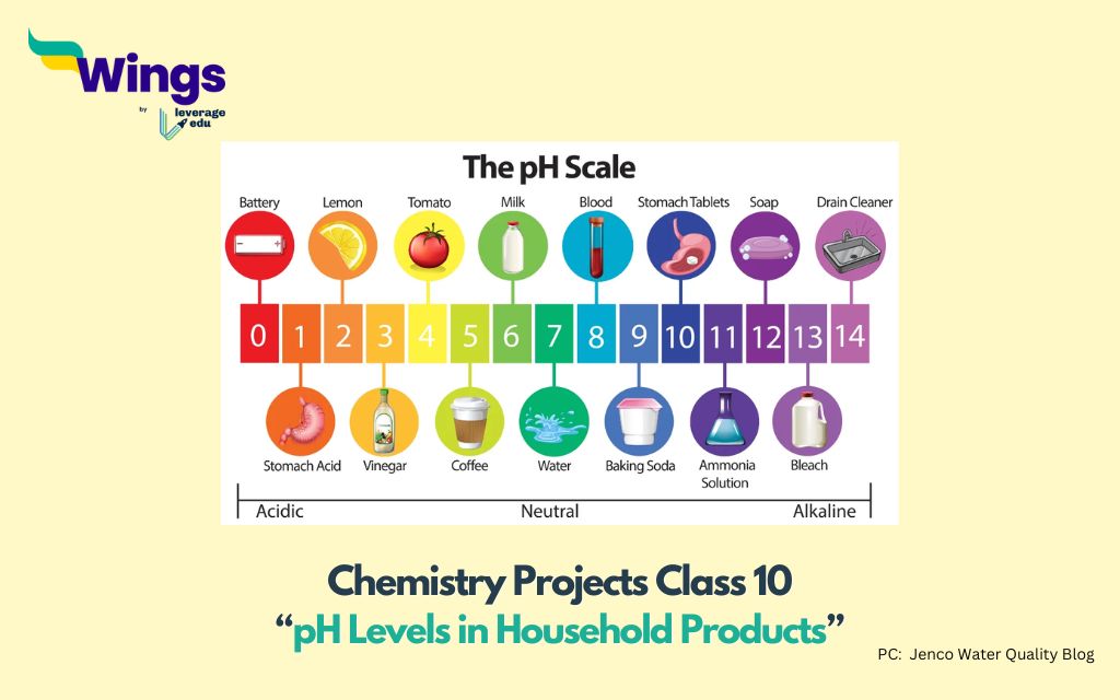 Physics Project Class 10: pH Levels in Household Products 