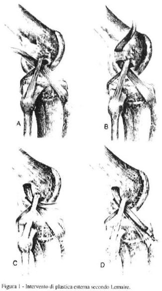 Illustrazione 1 - Ortopedia e Traumatologia