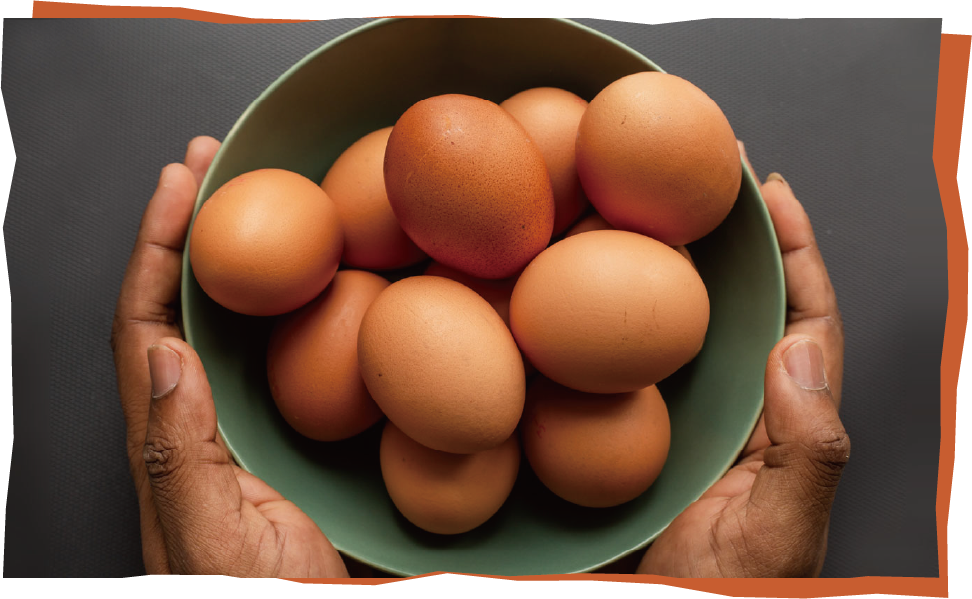 健康のためにも毎日食べるなら新鮮で安心安全な卵を！