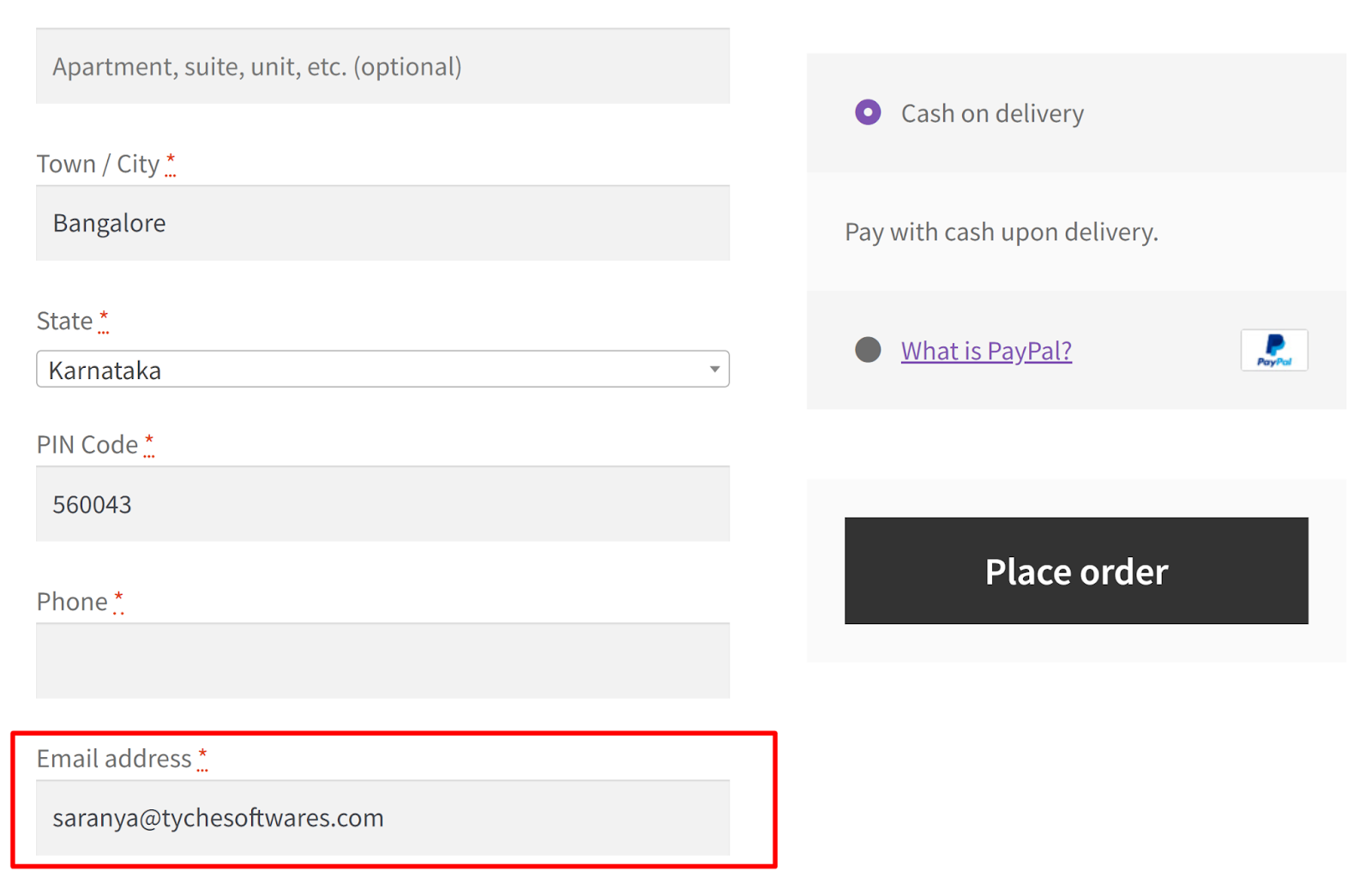 ¿Cómo capturar la dirección de correo electrónico de los campos personalizados en el plugin del carrito abandonado de WooCommerce?  - Softwares Tyche