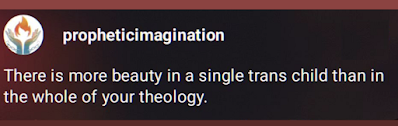 Screenshot of post from @PropheticImagination, saying, "There is more beauty in a single trans child than in the whole of your theology."