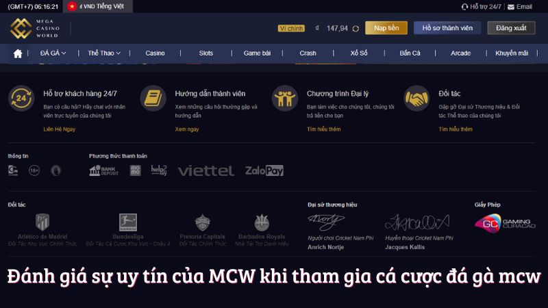 Đánh giá sự uy tín của MCW khi tham gia cá cược đá gà mcw