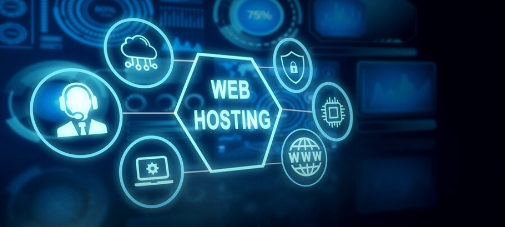 Web Hosting Provider