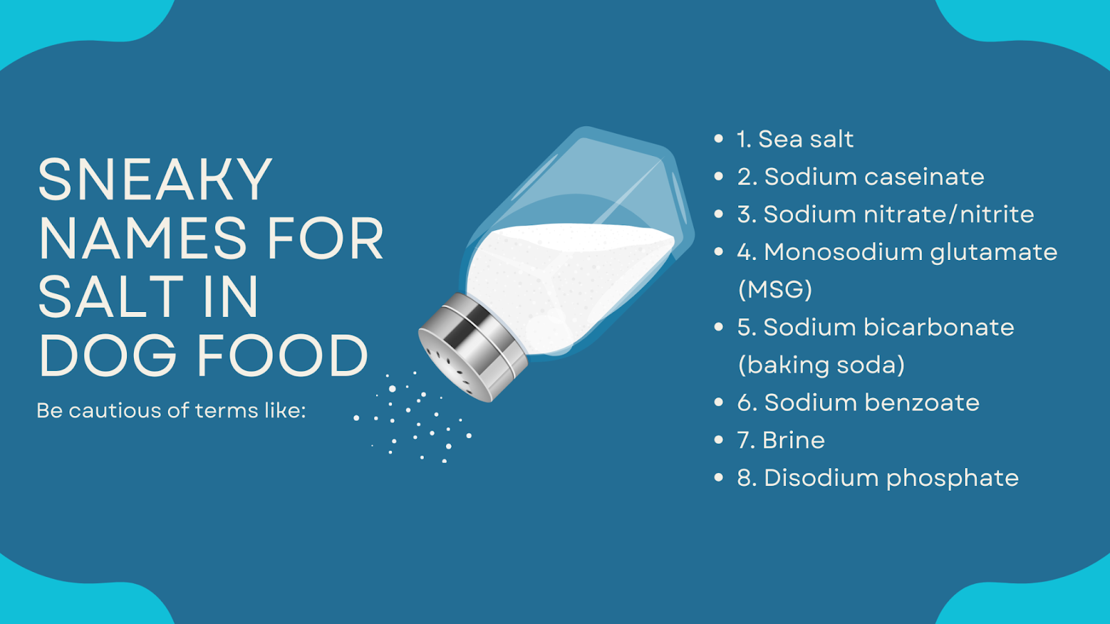 The Dos and Don ts of Sodium Can Dogs Have Salt without Harm