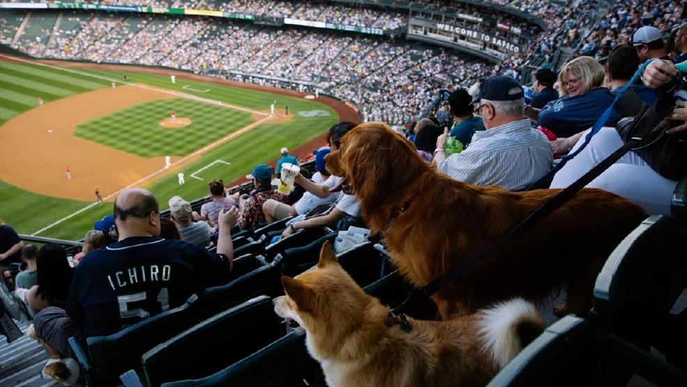 Take Your Dog Out to the Ballgame – Dog Friendly Baseball Games 2016 |  PetFriendlyTravel Blog