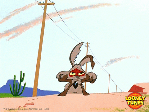 Wile E. Coyote from Looney Tunes being repeatedly hit in the head by a speeding Roadrunner. 