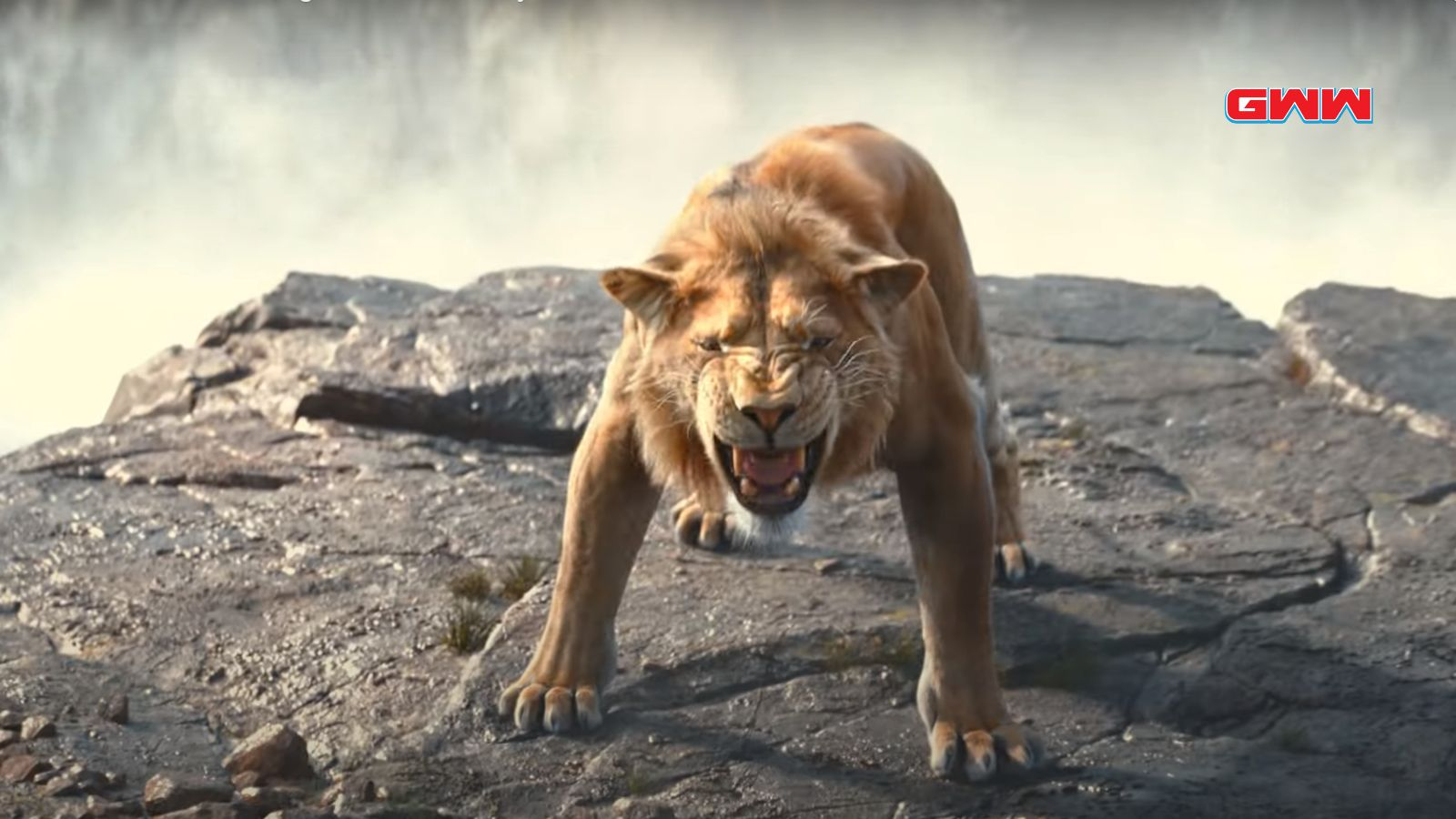 Simba rugiendo, película Mufasa: El Rey León.